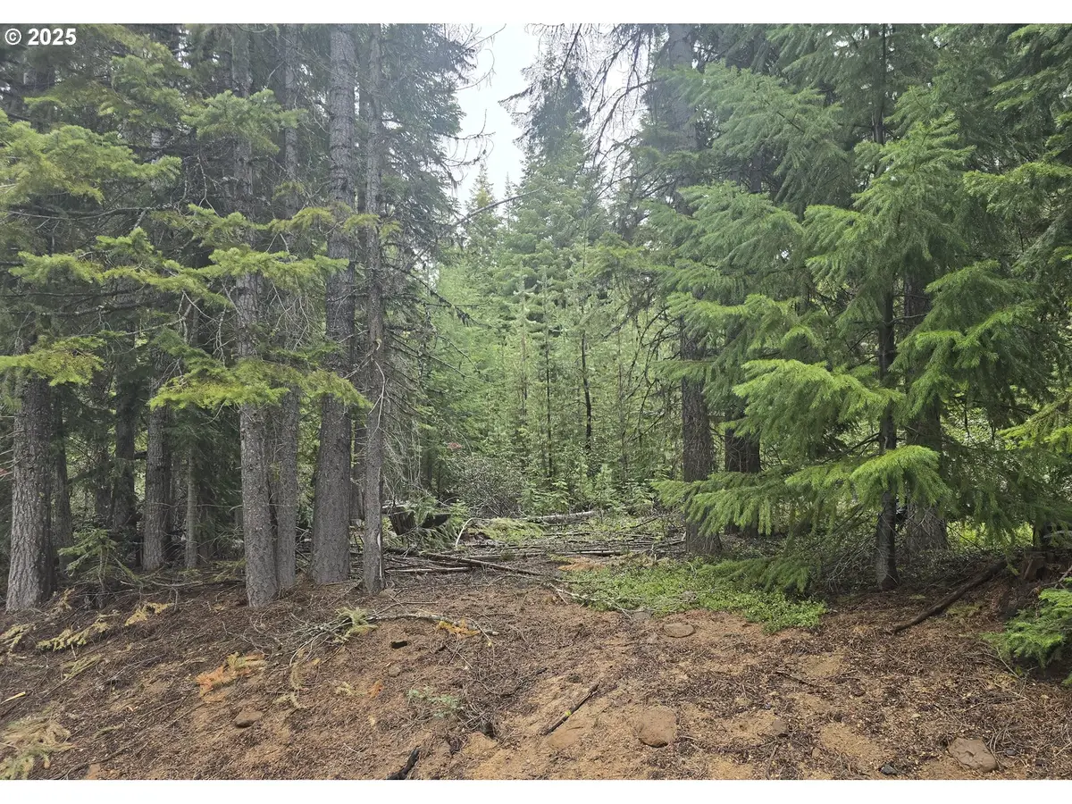 4 Royce Pine, Crescent Lake, OR 97733 - #1