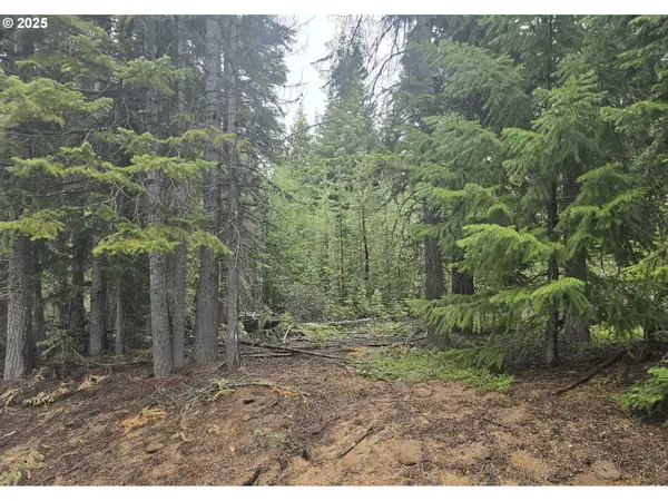 4 Royce Pine, CrescentLake, OR 97733