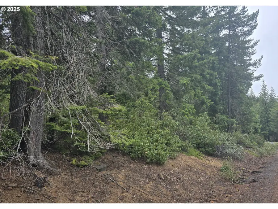 4 Royce Pine, Crescent Lake, OR 97733 - #2