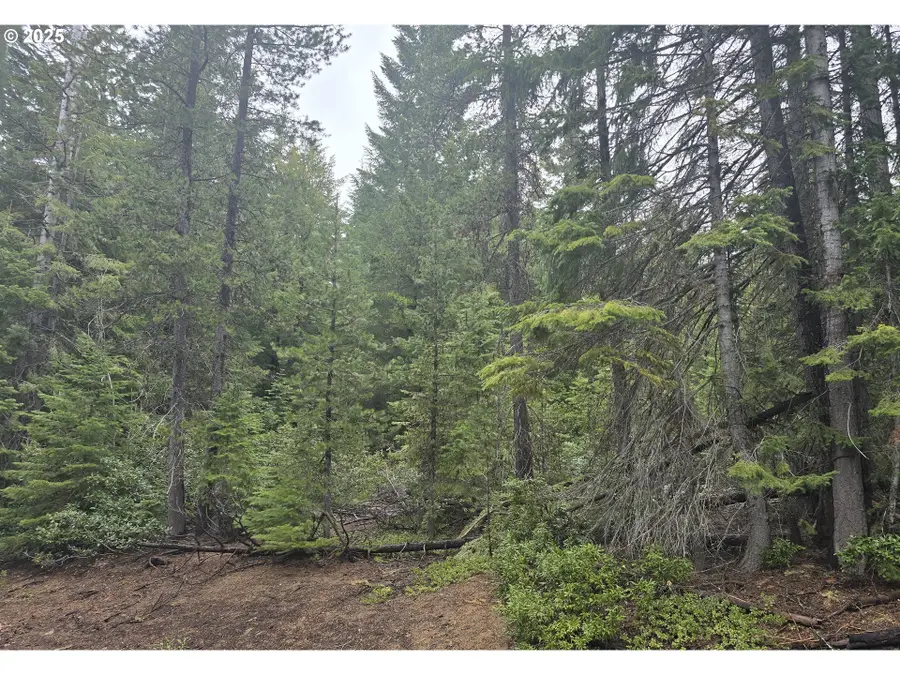 4 Royce Pine, Crescent Lake, OR 97733 - #3