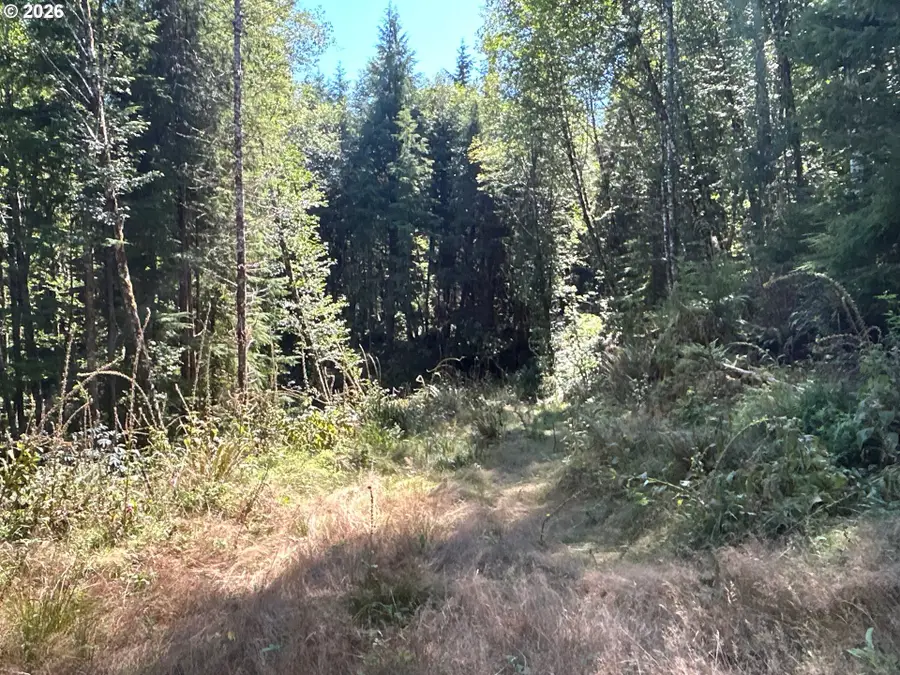 1 Eden Valley Rd, Rosburg, WA 98643 - #3