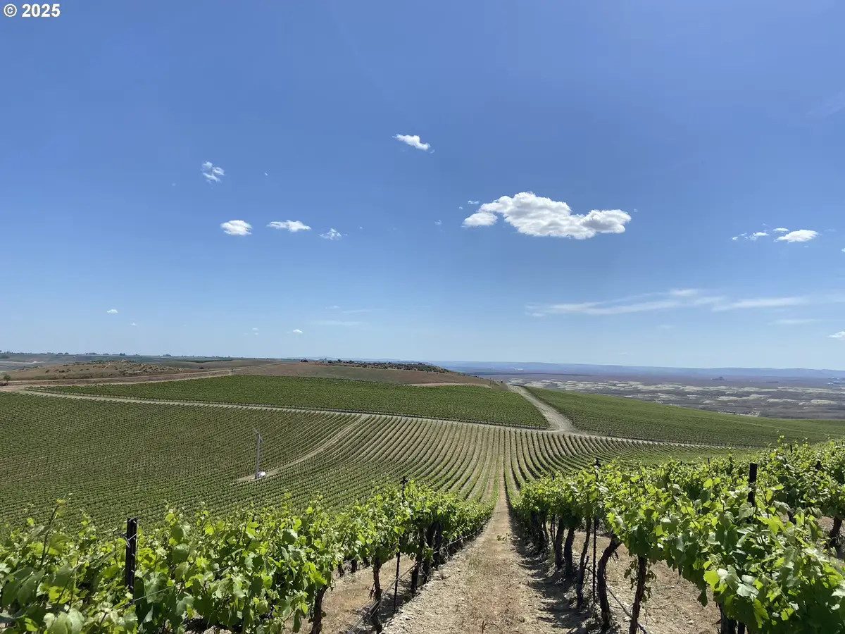 Ash Rd, Mesa, WA 99343 - Image #1