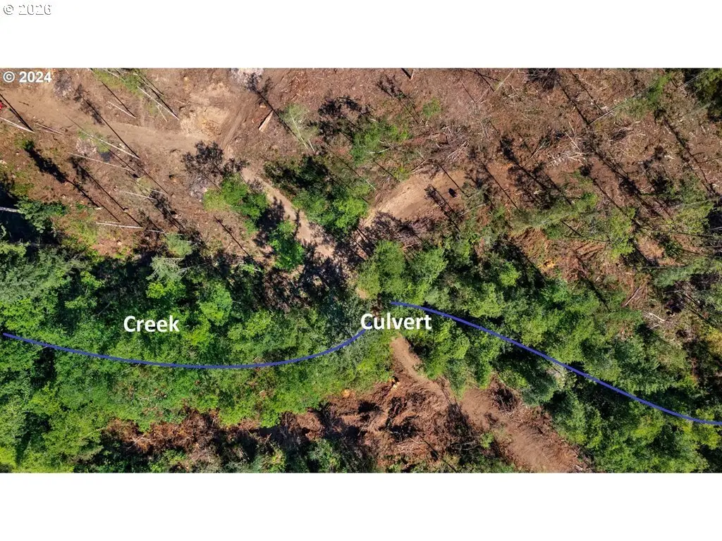 NE Berry Rd, Battleground, WA 98604 - #1