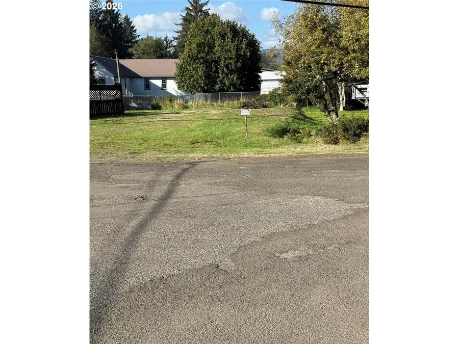 Fairgrounds Rd, Skamokawa, WA 98647 - #2