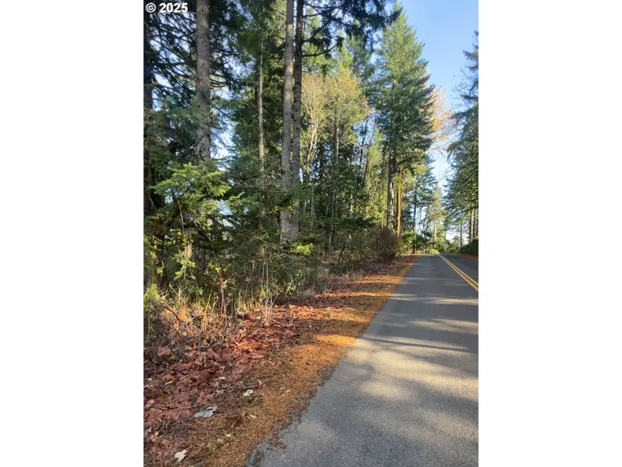 E Larch Mountain Rd, Corbett, OR 97019 - Image #3