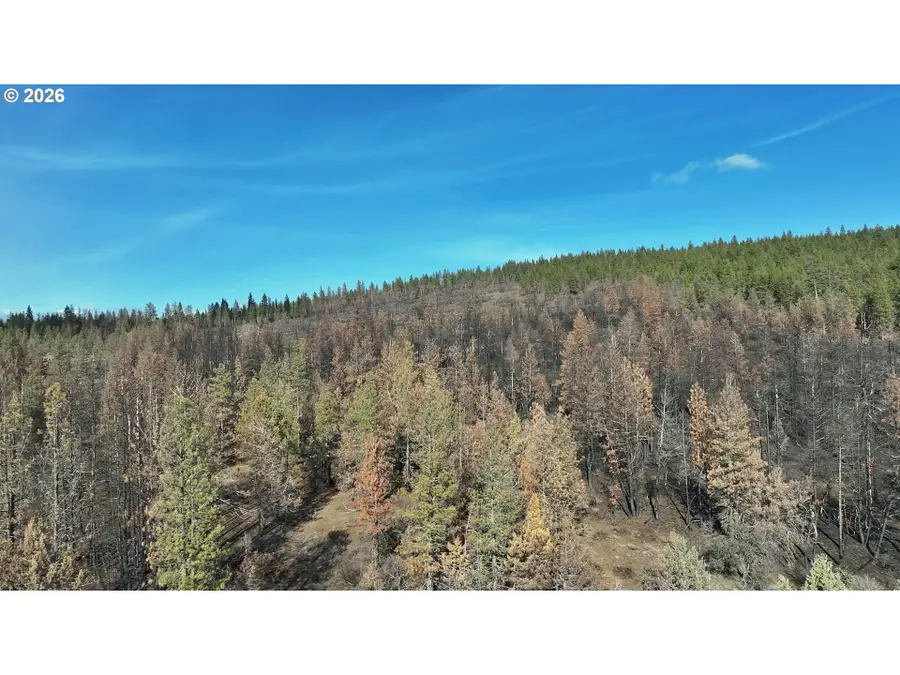 Hummingbird Dr #4, Bonanza, OR 97623 - #2