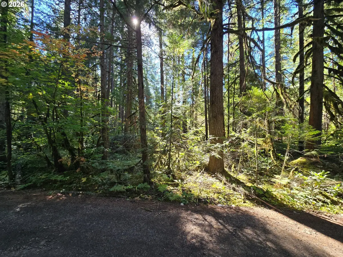1655144006600, McKenzie River, OR 97413 - #1