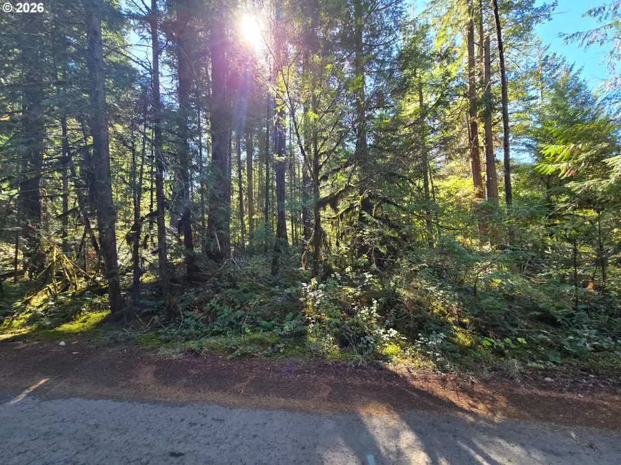1655144006600, McKenzie River, OR 97413 - #2