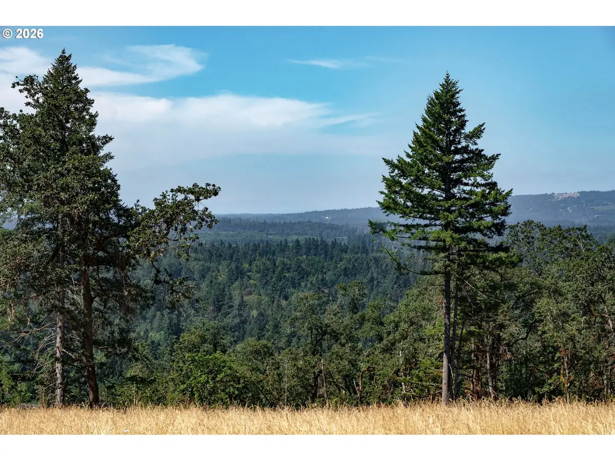 28795 SW Petes Mountain Rd, West Linn, OR 97068 - #1