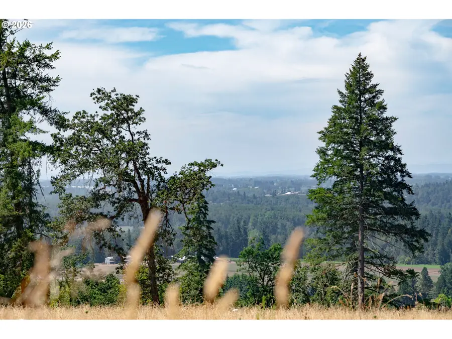 28795 SW Petes Mountain Rd, West Linn, OR 97068 - #2