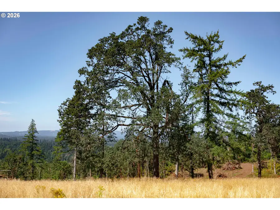 28795 SW Petes Mountain Rd, West Linn, OR 97068 - #3