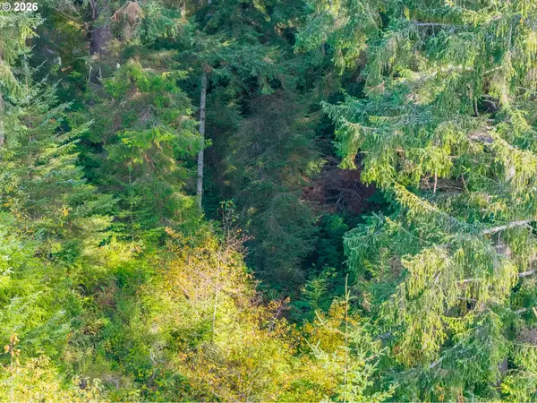00 Molakai Vista Rd, Bandon, OR 97411