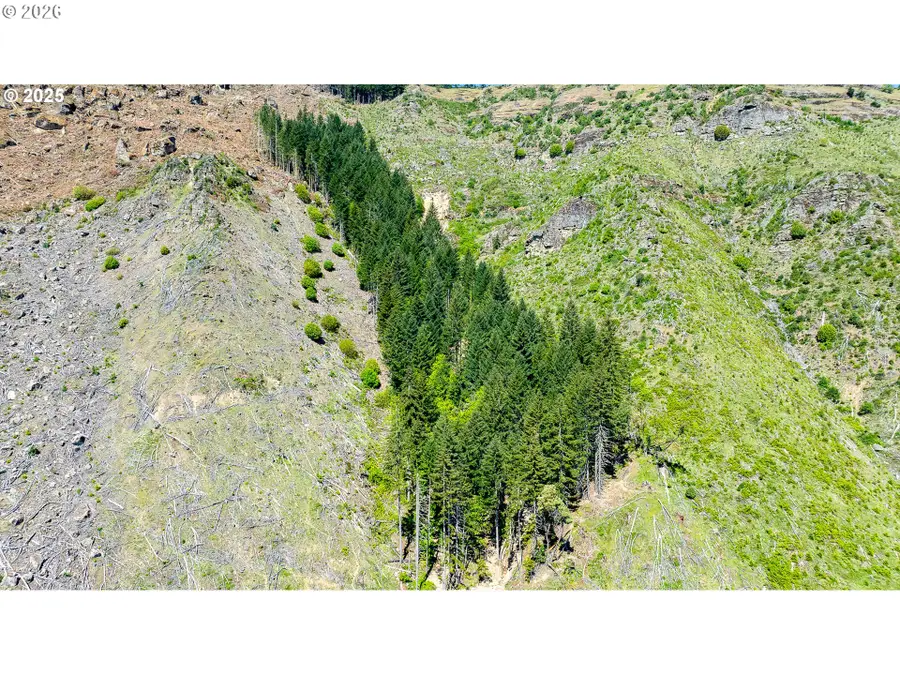 0 Snowberry Rd, Roseburg, OR 97471 - Image #3