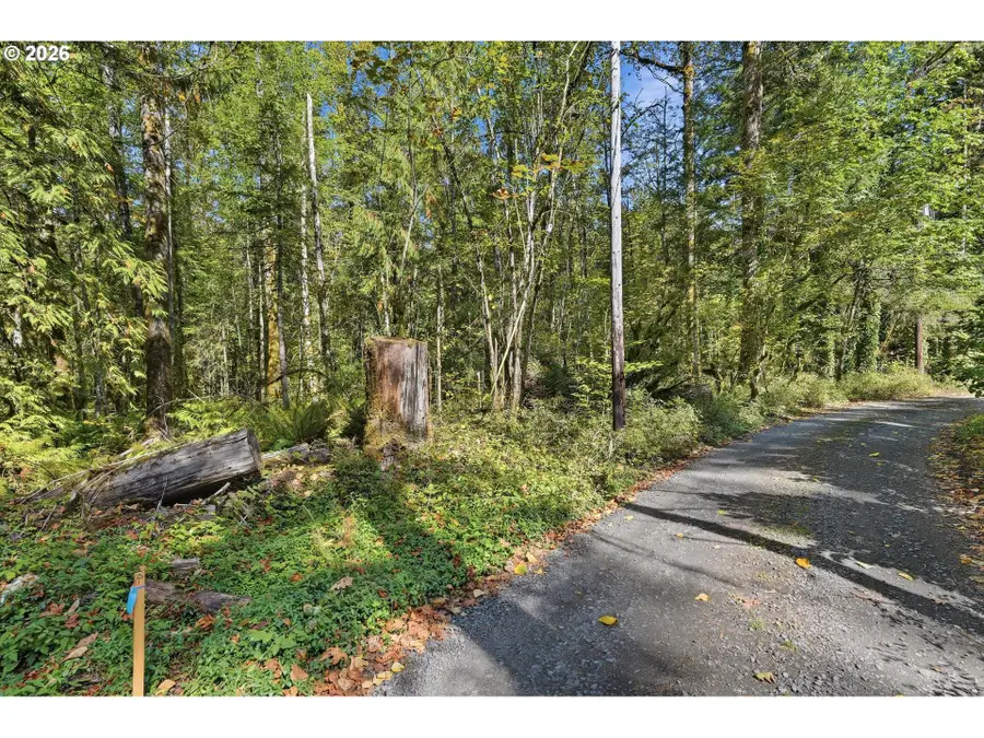 E Dewey Ave, Welches, OR 97067 - #2