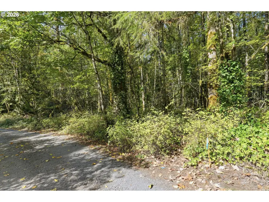 E Dewey Ave, Welches, OR 97067 - #3