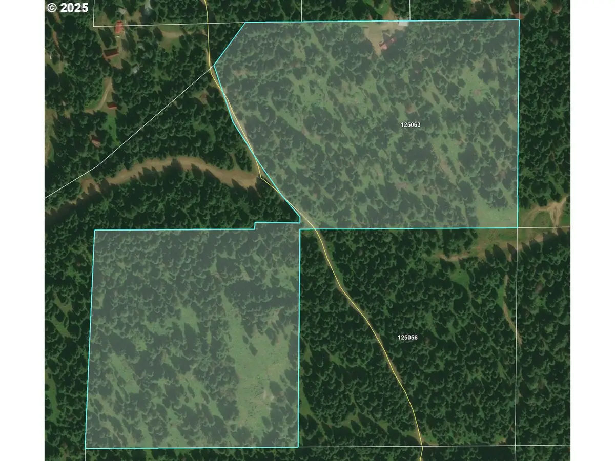 0 Meadowood Road, Weston, OR 97886 - Image #1