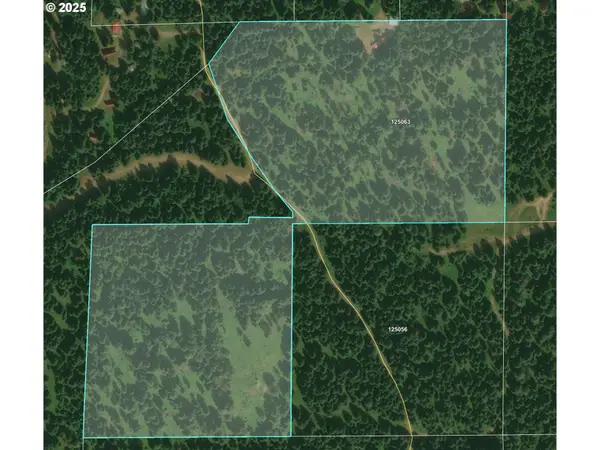 0 Meadowood Road, Weston, OR 97886