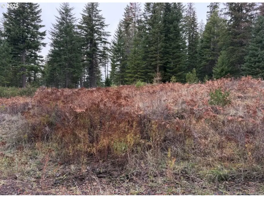 0 Meadowood Road, Weston, OR 97886 - Image #3