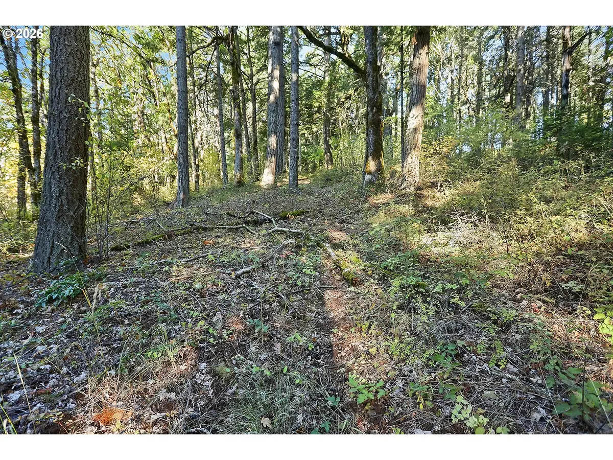 Echo Glen Rd, Whitesalmon, WA 98672 - #1