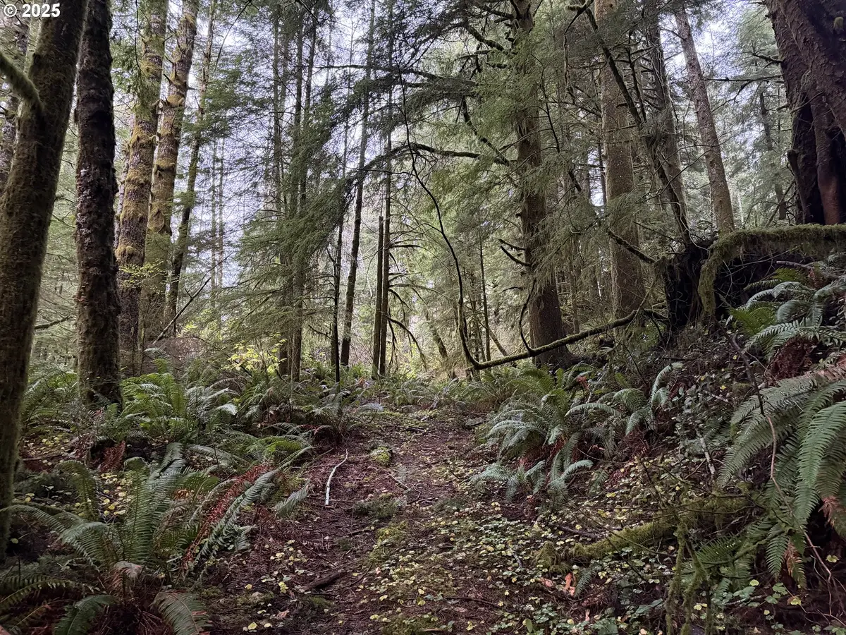 0 Siletz Hwy, Lincoln City, OR 97367 - Image #1