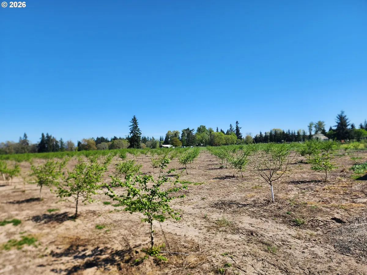 36501 Gilkey Rd, Scio, OR 97374 - #1