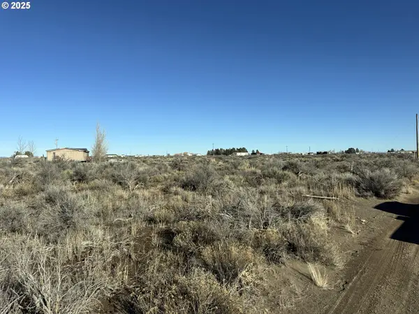 Pinion Ln #4600, ChristmasValley, OR 97641