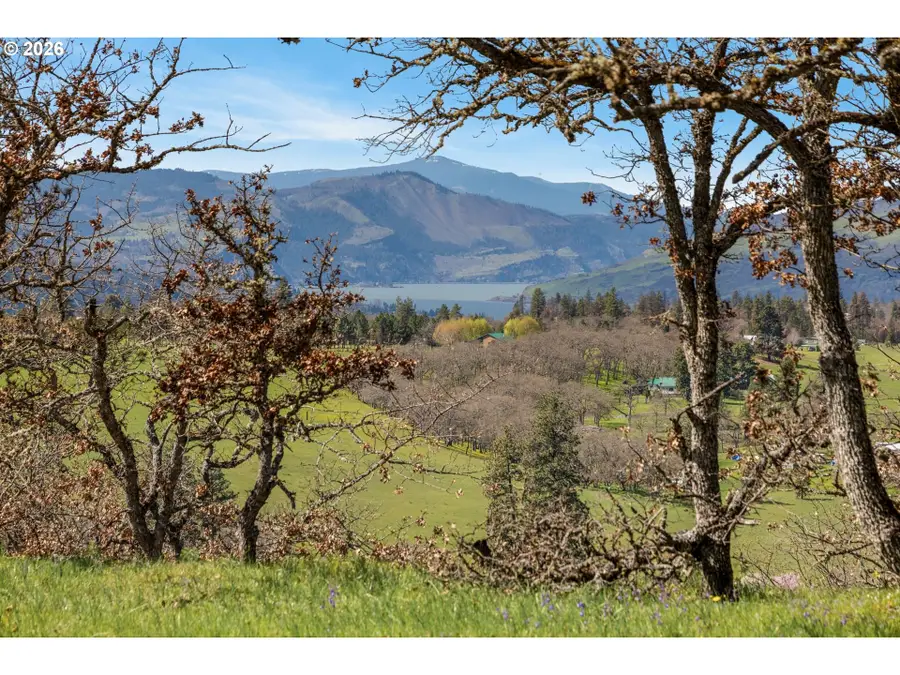 10 Canyon Rd, Lyle, WA 98635 - #3