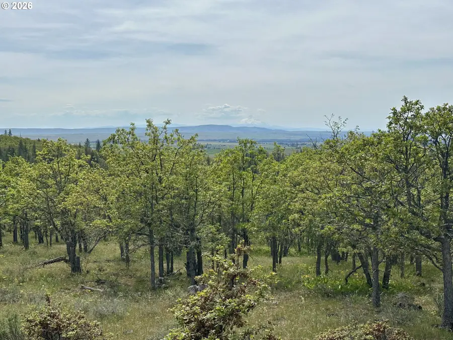157 Ponderosa Park #157of 6, Goldendale, WA 98620 - #2
