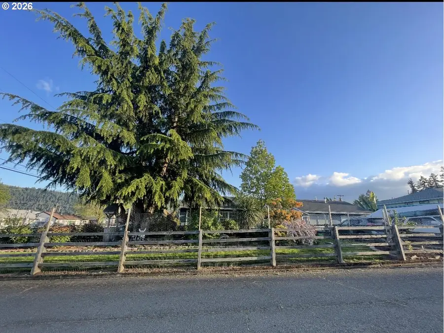 10 SW Peach Ln, Winston, OR 97496 - #2