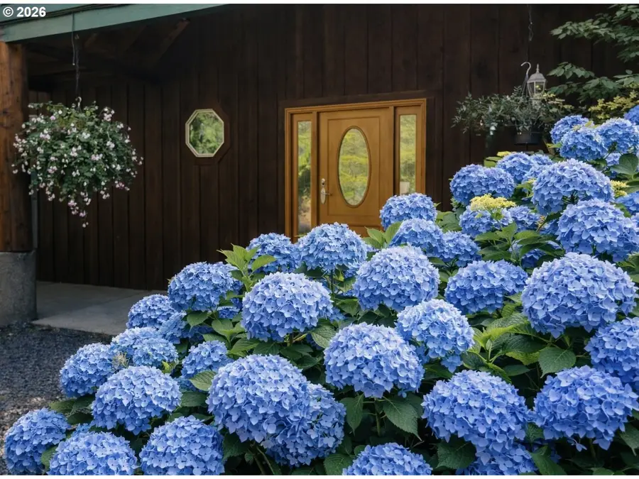 165 Friday Rd, Ariel, WA 98603 - #3