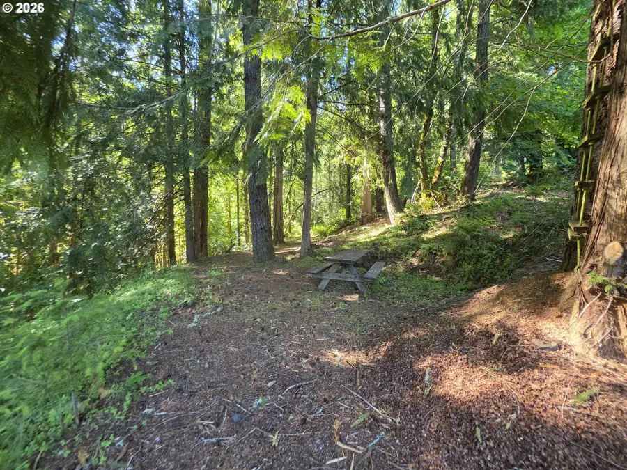 25797 Siuslaw River Rd, Lorane, OR 97451 - #2