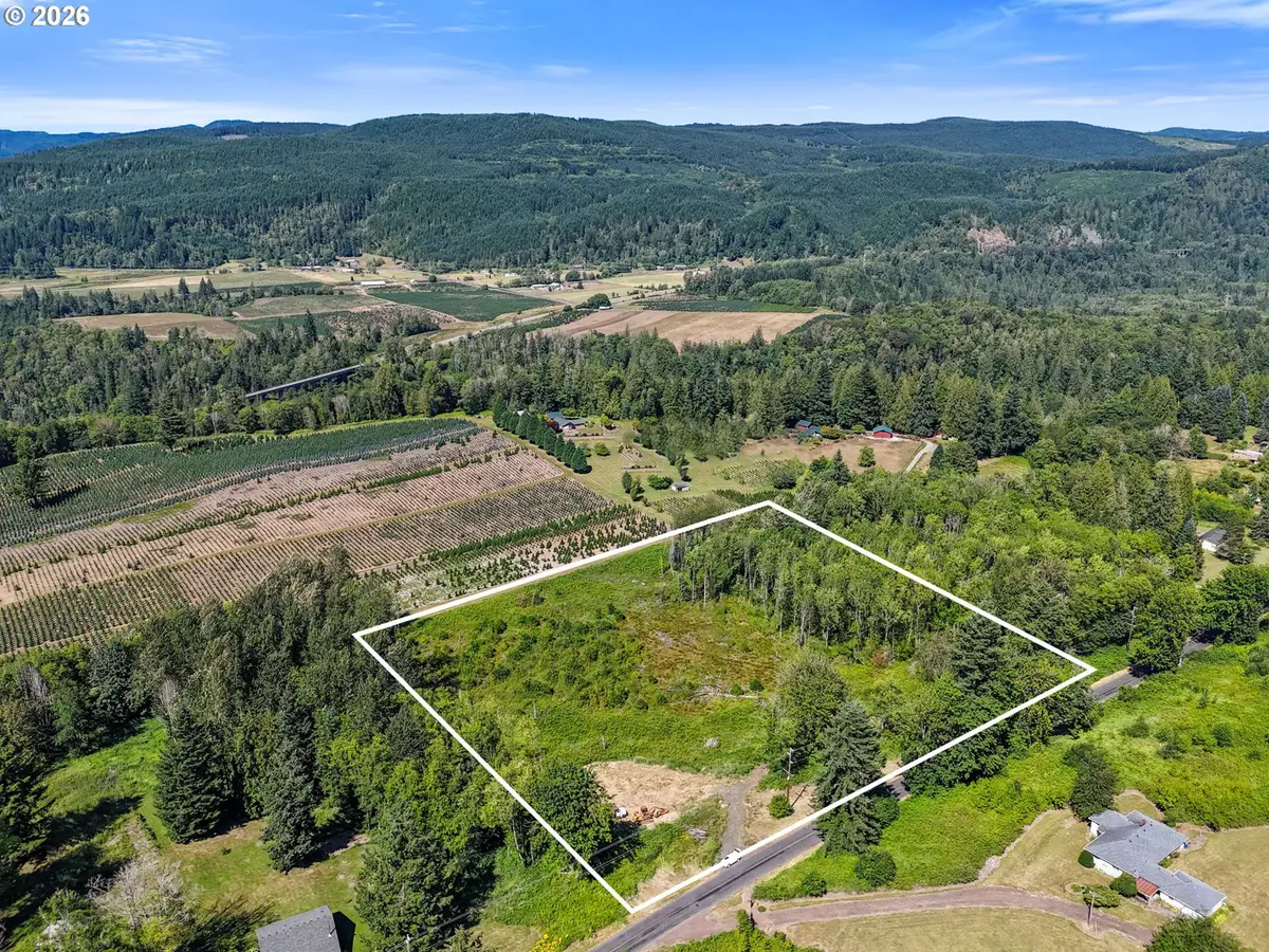 233 Young Rd, Mossyrock, WA 98564 - #1