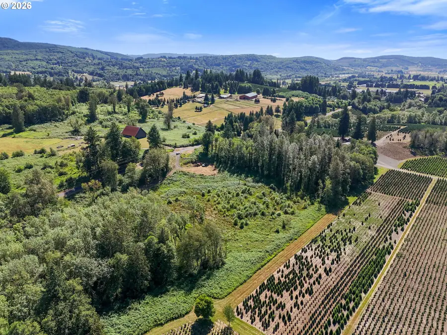 233 Young Rd, Mossyrock, WA 98564 - #3