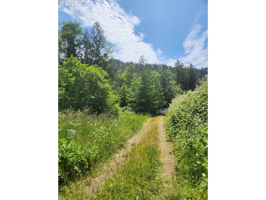 14621 Highway 36, Deadwood, OR 97430 - #3