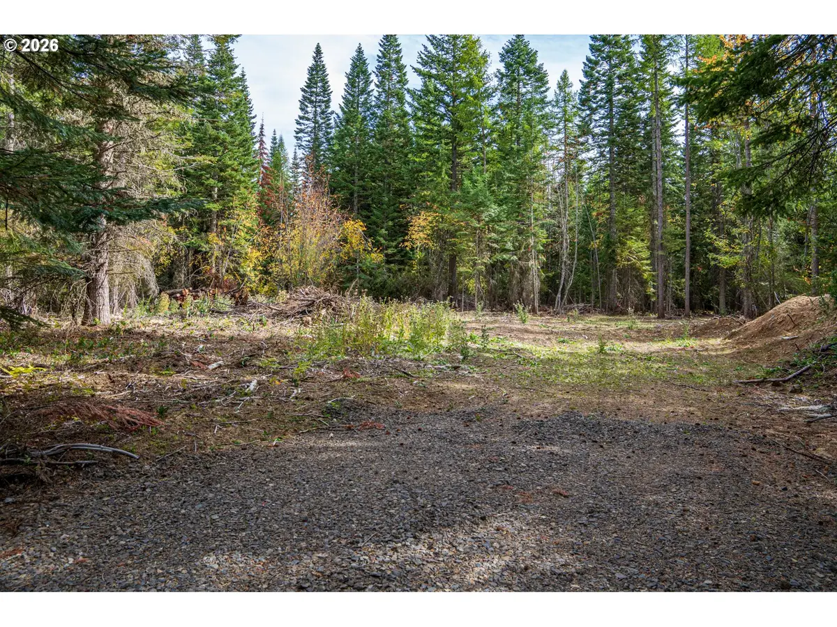 77875 Cold Springs Loop, Weston, OR 97886 - #1