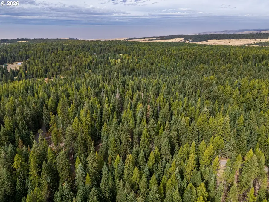 77875 Cold Springs Loop, Weston, OR 97886 - #3