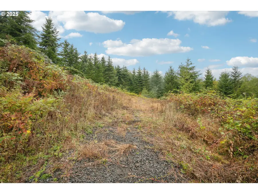 374 Bellwood Dr, Castle Rock, WA 98611 - Image #2