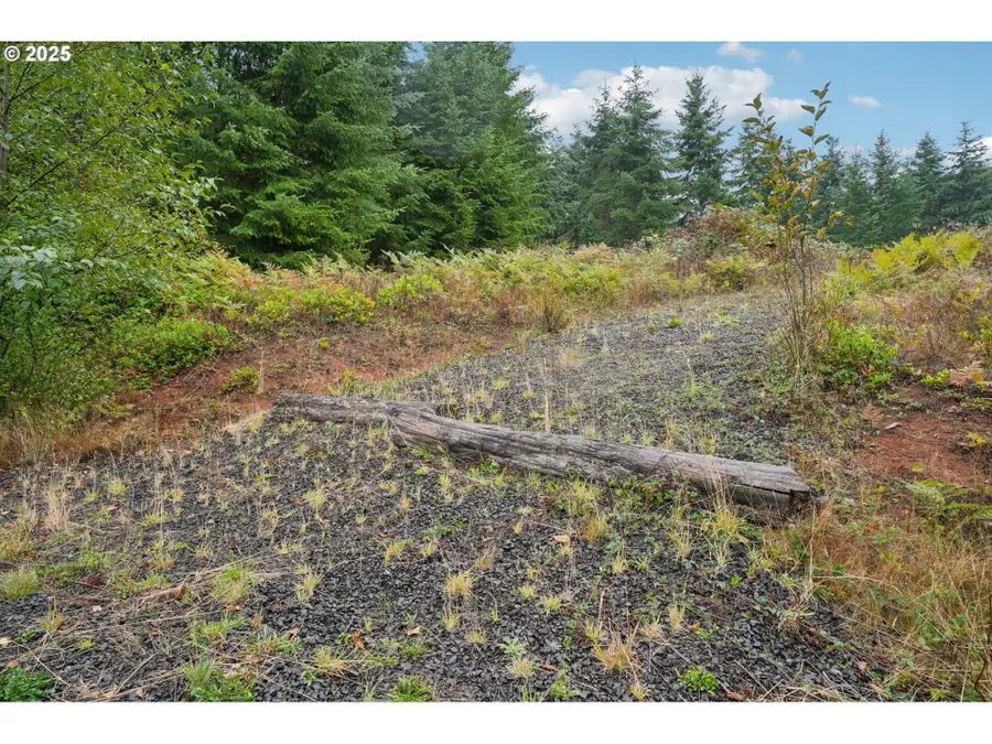 374 Bellwood Dr, Castle Rock, WA 98611 - Image #3