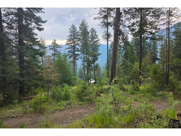 Chipmunk Lane, WallowaLake, OR 97846