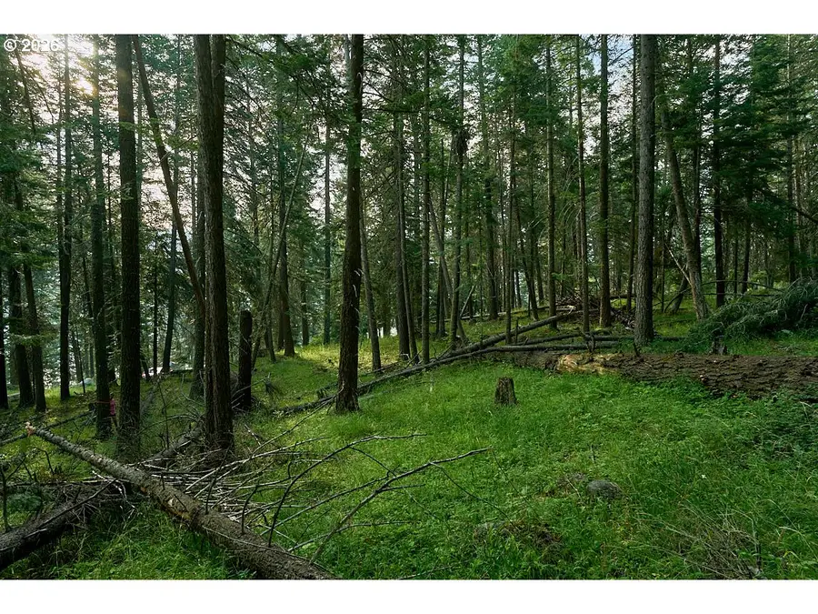 Chipmunk Lane, Wallowa Lake, OR 97846 - #3