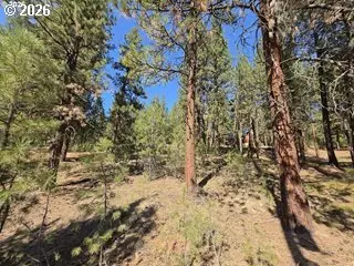Dewey, Sumpter, OR 97877 - #2