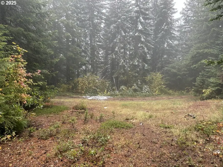 0 Calapooia Rd, Holley, OR 97386 - Image #2