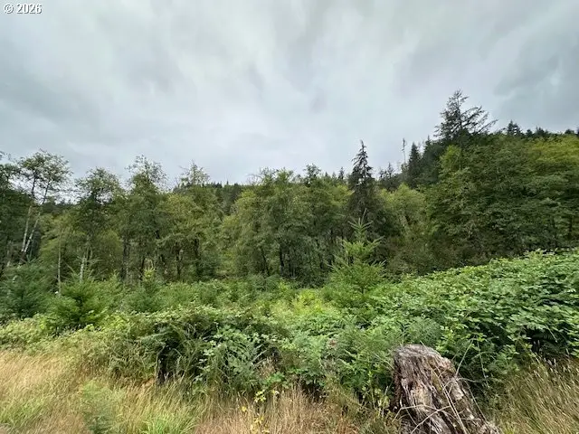 2 Dubois Rd, Ariel, WA 98603 - #3