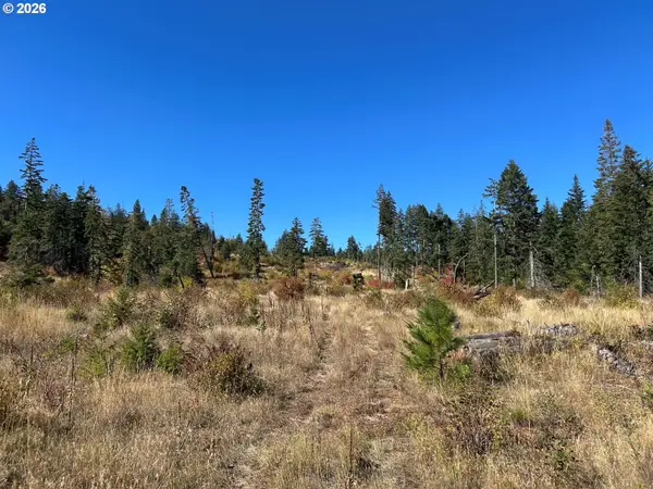 42 Snag Rd, Lyle, WA 98635