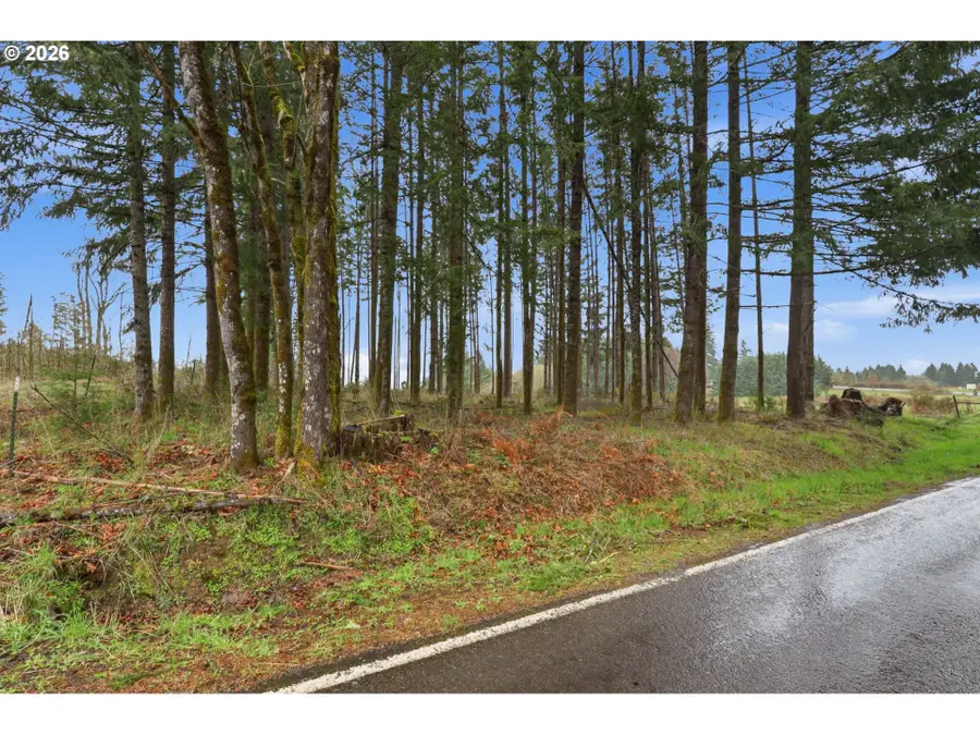 NW Pumpkin Ridge Rd, North Plains, OR 97133 - #2