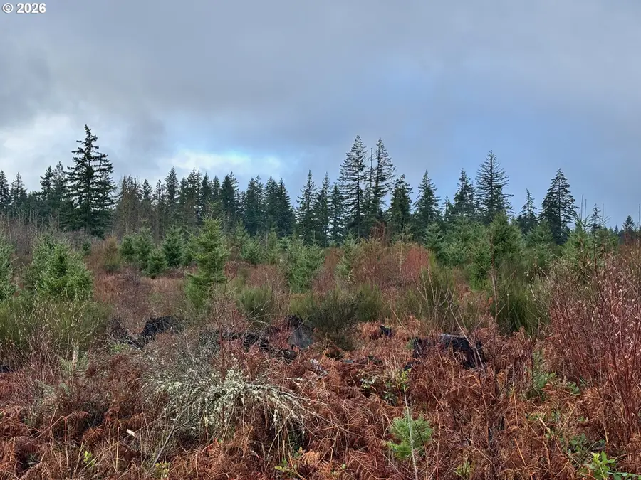 0 South Shibley Road, Colton, OR 97017 - #2