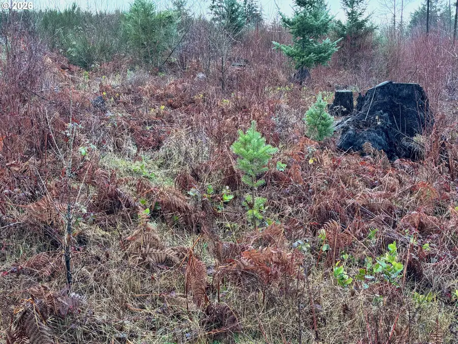 0 South Shibley Road, Colton, OR 97017 - #3