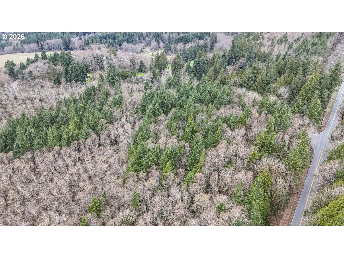 Neer City Rd, Rainier, OR 97048 - #1