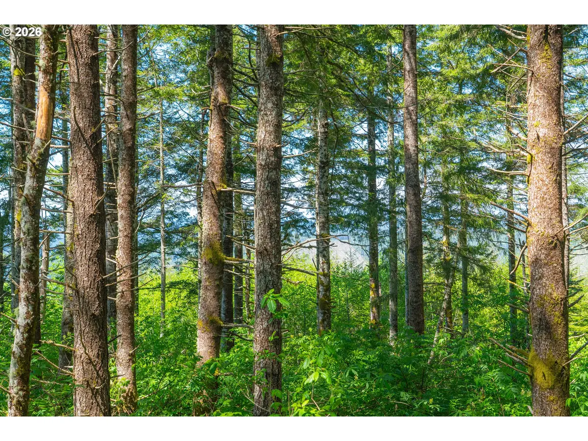 0 Hayes Cr. Rd, Eddyville, OR 97343 - #1