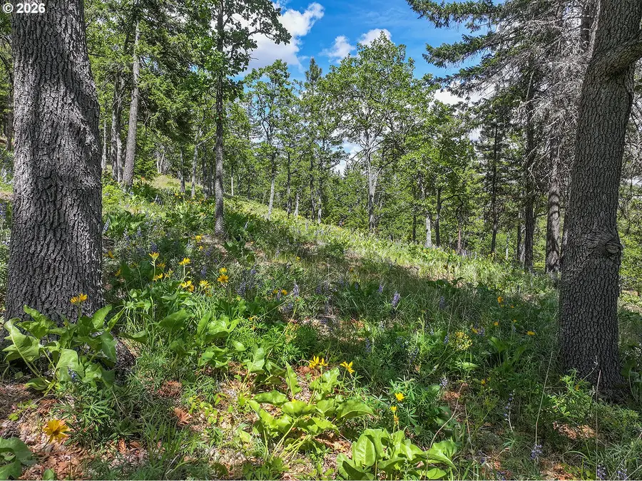 Thompson Trail, Goldendale, WA 98620 - #3